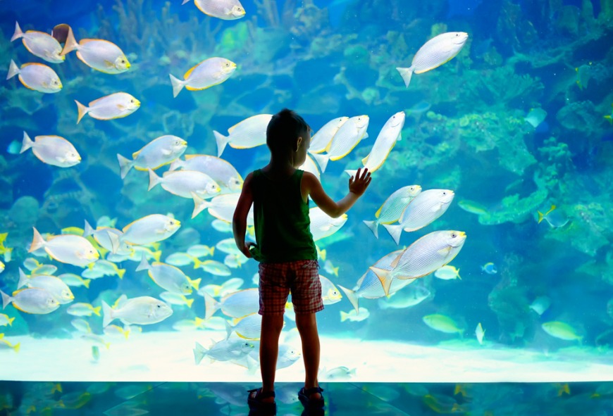 Free things to do in Dubai for kid's birthday Free things to do in Dubai for kid's birthday